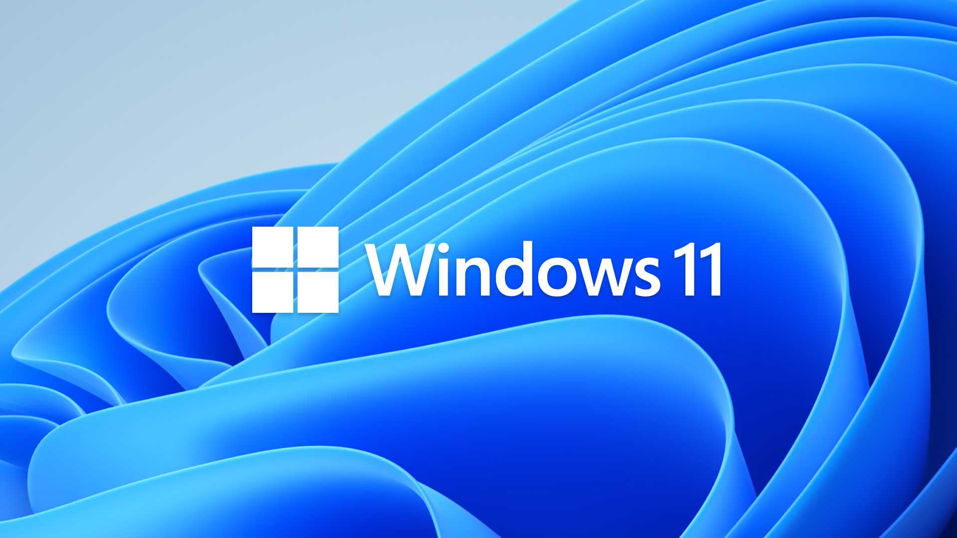 Windows 11 Pro - Imagen 3